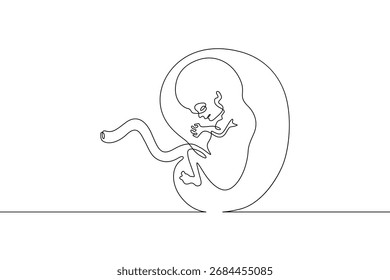 Continuous one line drawing Human embryo. Development of the human fetus. Pregnancy.Line art.One continuous line isolated illustration.Not AI.
