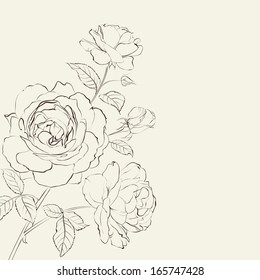 Contour of rose isolated over beige.  illustration