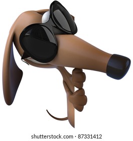 Cool dog