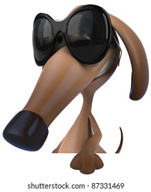 Cool dog
