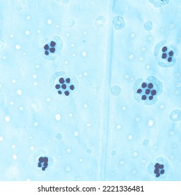 Cool Small Dots. Texture Prints. Cool Ethnic Native Style. Pattern. Blue Paints Watercolor. Circle Background. Indigo Illustration. 