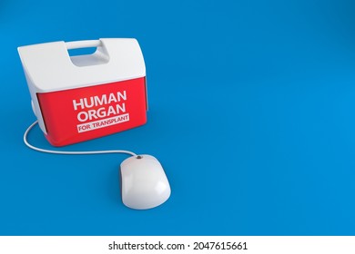 Cooler For Human Organ With Computer Mouse Isolated On Blue Background. 3d Illustration