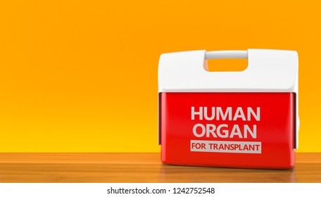 Cooler For Human Organ On Orange Background. 3d Illustration