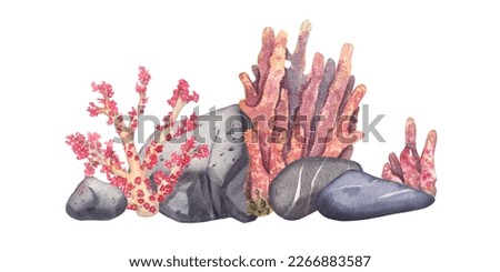 Coral reef with rocks and sea rocks isolated on a white background. Watercolor illustration of underwater plants and fauna. The bottom of the oceans. Suitable for design, invitations, postcards, pack