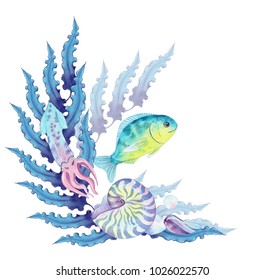Coral reef. Underwater world. Decorative elements, marine composition.  Wreath Sea seahorse, fish, crab, shell, seaweed, Capricorn. Watercolor illustration. 