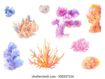 Coral reef in watercolor