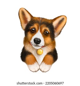 Corgi Dog Drawing, Tricolor, Red Black And White Color, Corgi Dog, Cute Puppy, Favorite Pet, Dog Drawing, Dog Portrait