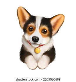 Corgi Dog Drawing, Tricolor, Red Black And White Color, Corgi Dog, Cute Puppy, Favorite Pet, Dog Drawing, Dog Portrait