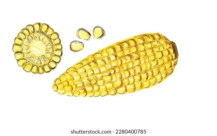 corn cob  side