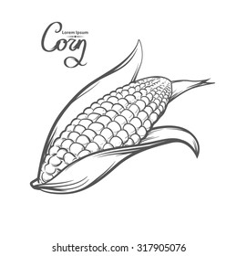 Corn, Outline Style, For Menu, Simple Illustration