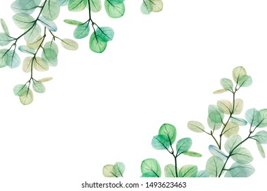 1,197 Eucalyptus corners Images, Stock Photos & Vectors | Shutterstock