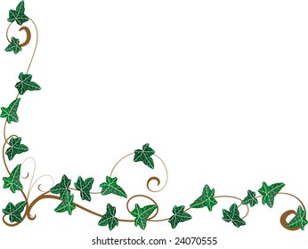 Vector Illustration Borders Ivy Leaves Stock Vector (Royalty Free ...