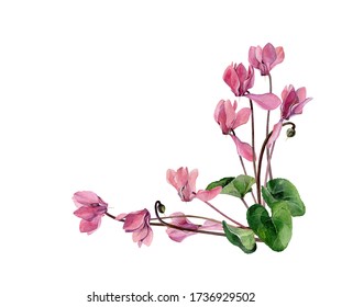 Set Phalaenopsis Orchid Pink Red Flowers のベクター画像素材 ロイヤリティフリー