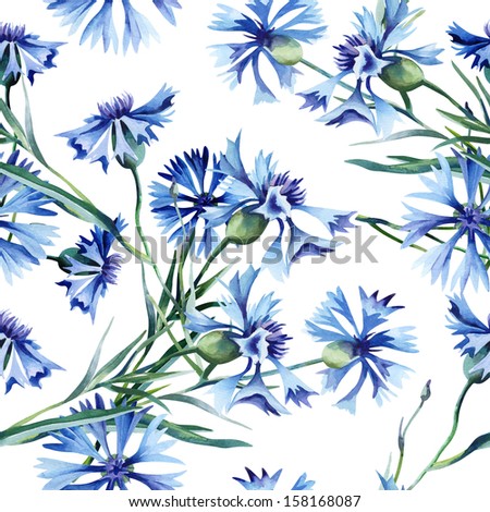 Similar – Image, Stock Photo Cornflower and bud, wet after a rain shower… Photographed through the window of a bus stop
