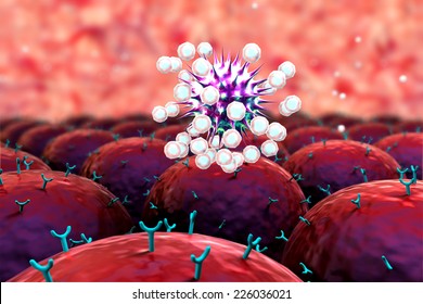 Coronavirus Atack The Lungs Cell, Field Of Cells With Receptors, Human Immune System Attack The Virus 