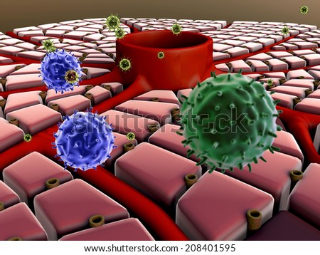 Coronavirus atack the lungs cell, structure of the liver, virus attack the liver, Human Immune System,  