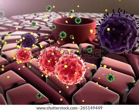 Coronavirus atack the lungs cell, structure of the liver, virus attack the liver, Human Immune System