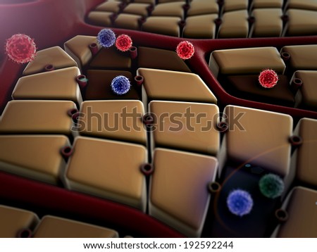 Coronavirus atack the lungs cell, virus attack the liver, Human Immune System,  liver structure, structure of the liver