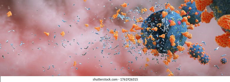 Coronavirus epidemic, Covid-19 viruses destroyed by soap (3d microbiology rendering banner)  
