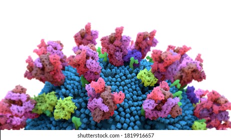 The Coronavirus Spike Protein That Mediates Coronavirus Entry Into Host Cell. 3d Illustration