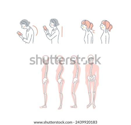 Correct posture and bad posture Straight neck