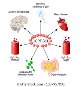 what are stress hormones