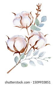 
Cotton Watercolor Soft 
Plant Flower