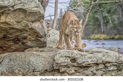 Cougar Hunting Along River In Northern Minnesota