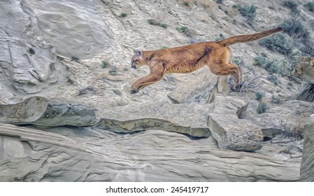 Cougar Leaping In Rocks