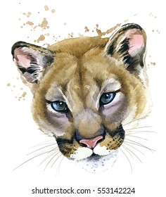 Cougar Watercolor Illustration. Mountain Lion