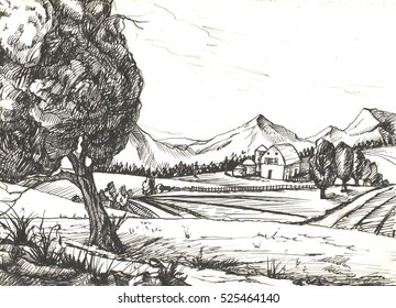 Countryside sketch.  illustration