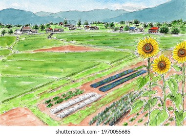 野菜畑 日本 のイラスト素材 画像 ベクター画像 Shutterstock