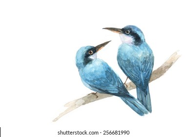 Couple Blue Bird   Painting Watercolor . Draw Illustrations 