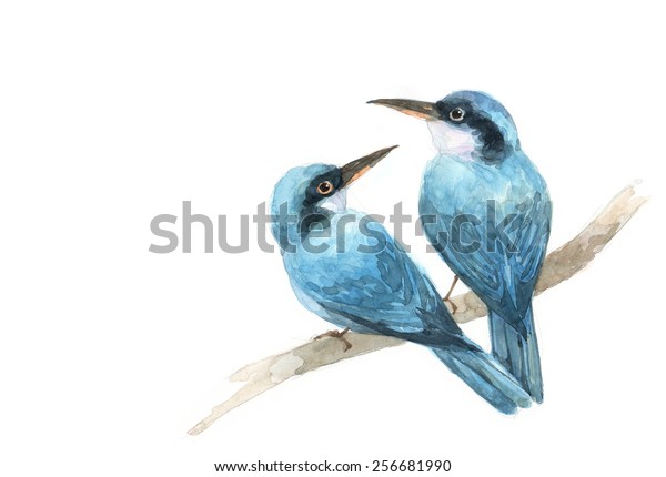 2匹の青い鳥 水彩画 イラストを描く のイラスト素材