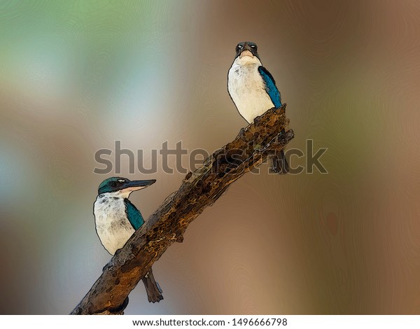 Couple of Blue and white feathers Kingfisher, Collared\
kingfisher (Todiramphus sanctus) in watercolor painting format.\
