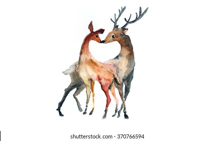 Couple Deer Watercolor Illustration On Paper