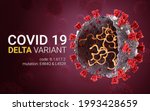 COVID 19 coronavirus Delta variant Sars ncov 2 2021. Delta plus Strain. Idia Coronavirus delta variant. B.1.617.2
E484Q L452R. 3D illustration 