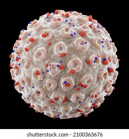 COVID-19 Corona Virus With Spike Glycoprotein . Fine Detailed Cracked Texture . Black Color Isolated Background . 3D Render . Embedded Clipping Paths .