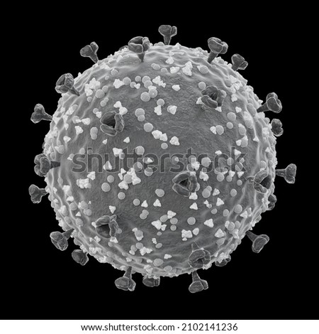 COVID-19 . Structure of corona virus . Spike glycoprotein and envelope protein and membrane protein . Fine detailed texture . Black and white color . Isolated . 3D rendering . Embedded clipping paths Stock photo © 