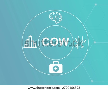 COW acronym.COW (Circle Of Willis) is a ring of arteries at the brain base ensuring blood supply redundancy.