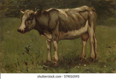 Cow, By Anton Mauve, C. 1860-88, Dutch Painting, Oil On Panel.