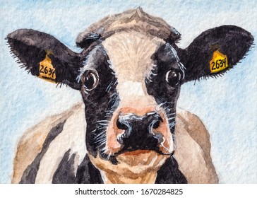 Cow Face On The Farm. Blue Sky On Background. Watercolor Painting.