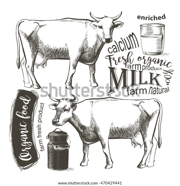 Cow Graphic Vintage Style Hand Drawing のイラスト素材