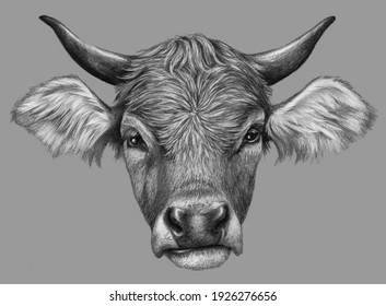 Cow Face Draw Images, Stock Photos & Vectors | Shutterstock