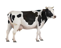Cow Isolated On White Background. 3D Rendering