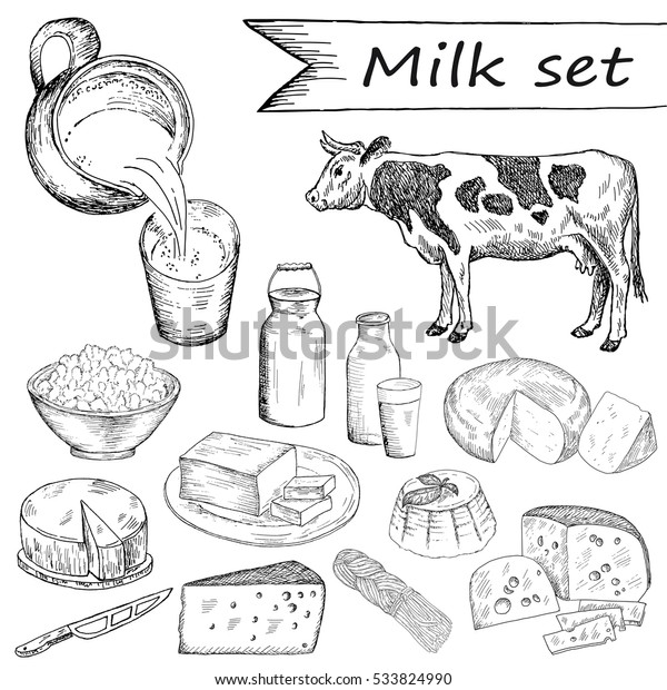 牛と牛乳セット 手描きのビンテージイラスト 自然の乳製品の背景 線画のスタイル のイラスト素材