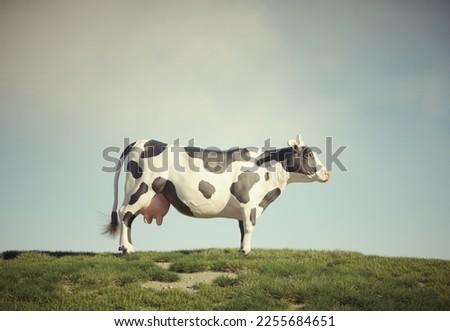 Similar – Cow rest Nature Animal Sky