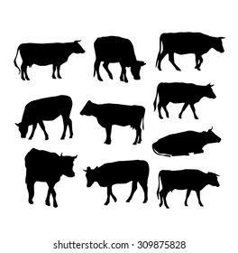 Collection Silhouettes Different Species Cattle Common Stock Vector ...