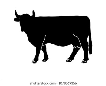 Silhouette Cow Cattle Circuit Farm Bull Stock Vector (Royalty Free ...