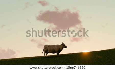 Similar – square sheep Colour photo